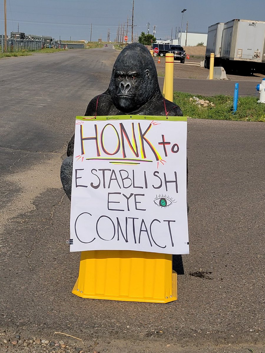 Doug Berry tweet media