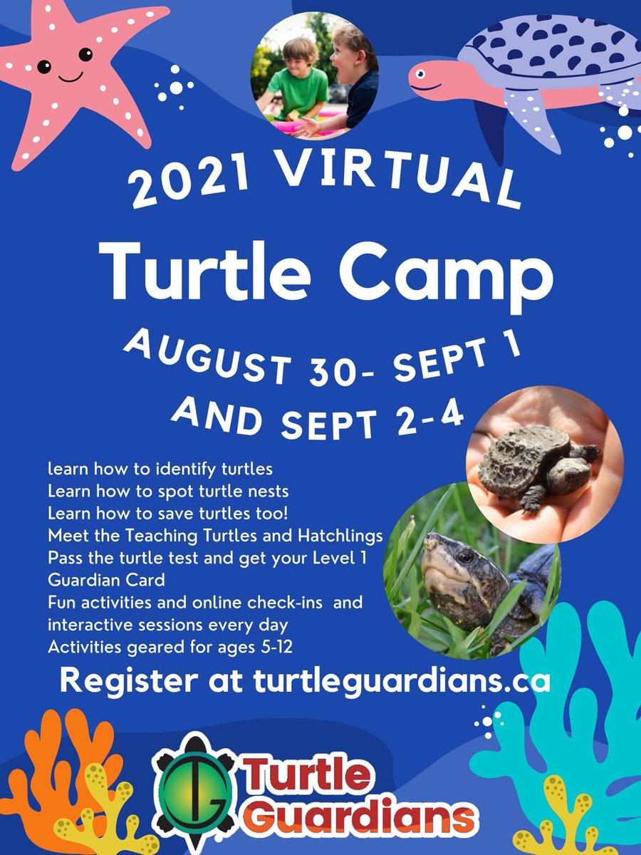 TURTLE CAMP 2021

Learn how to identify turtles: to save turtle nests: to help turtles too!
Meet Teaching Turtles &amp; Hatchlings
Earn your Level 1 Guardian Card
Fun activities, online check-ins &amp; interactive sessions every day

Register by Aug 25th at turtleguardians.ca