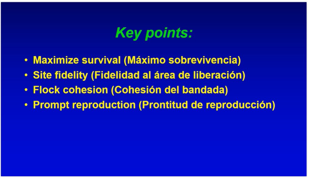 MarkFHulme's tweet photo. Thomas White @USFWS discusses minimizing potential allee effects in Psittacine reintroductions, an example from the Puerto Rican #Parrot, including take-home points to improve the chances of successful parrot reintroductions @BirdsCaribbean symposium #2021AOS_SCO #ornithology https://t.co/kEnufk7CdH