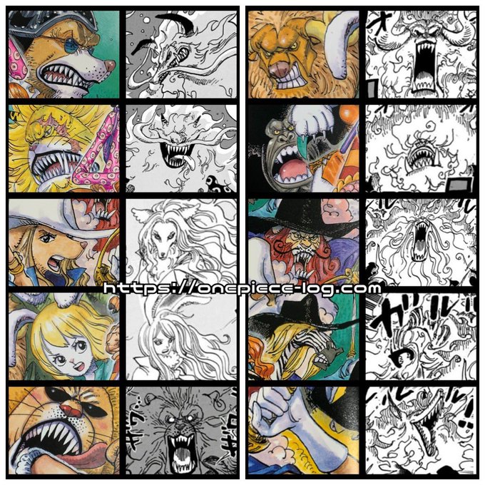 注目 画像ツイート ワンピース 8ページ目 アニメレーダー 注目 画像ツイート ワンピース 8ページ目 アニメレーダー