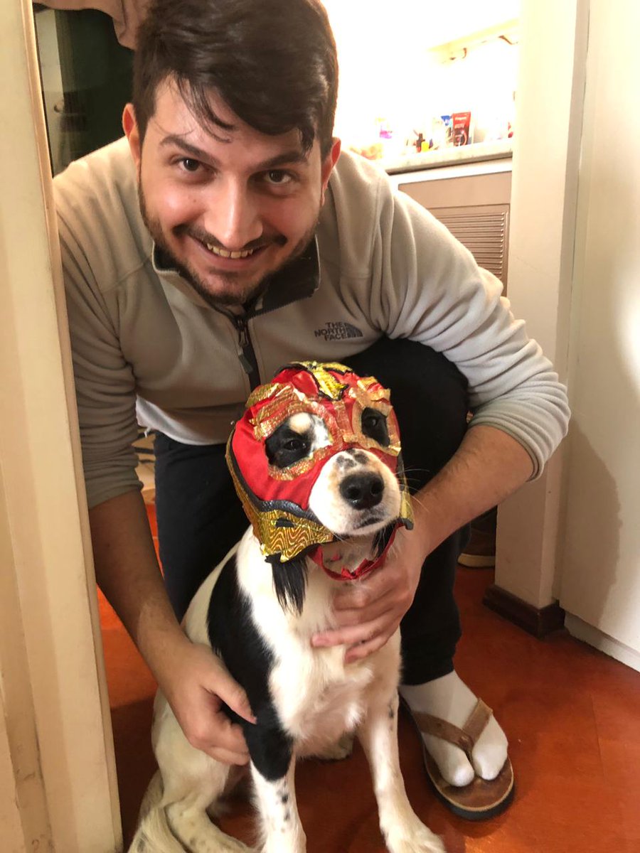 action_pw's tweet photo. 🐶🏹  Oliver Tell apresenta o novo mascote da APW: Hijo del Perro https://t.co/11dpm4lZJf
