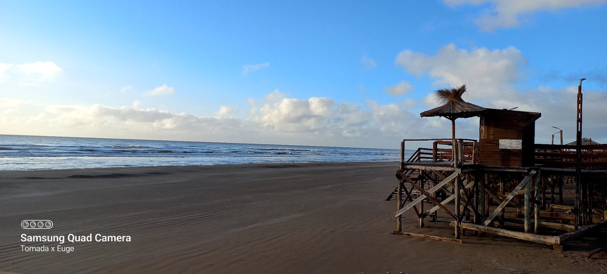 NoTeOlvides 🌼 ⭐⭐⭐ tweet media