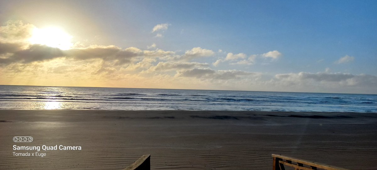 NoTeOlvides 🌼 ⭐⭐⭐ tweet media