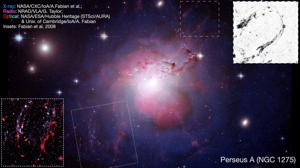 astro_Qiu's tweet photo. Have you wondered why the horseshoe filament and the blue loop of newly formed stars locate on opposite sides of the central supermassive black hole in the Perseus Cluster? We address this and constrain AGN energetics in a new ApJ Letter: https://t.co/lQegeomTWk https://t.co/U2DGgj3YfK
