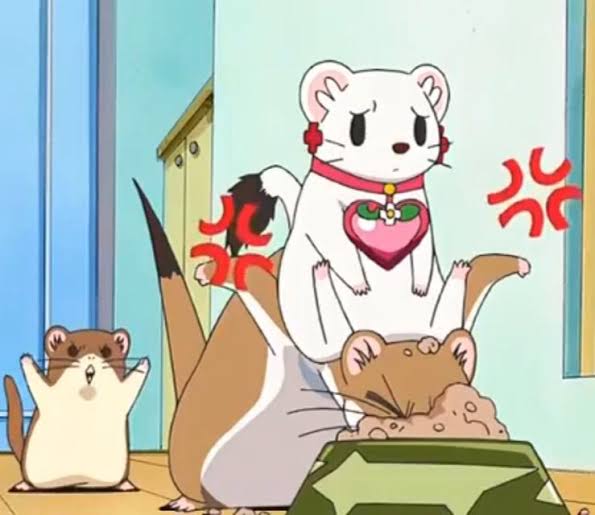 おおるい Twitter પર マイナーアニメ論争 本当にマイナーすぎたり中途半端に古すぎると誰からも反応もらえなくて悲しいから しあわせソウの オコジョさん あたりを出しとけ な T Co Cvzeq6ixxy Twitter