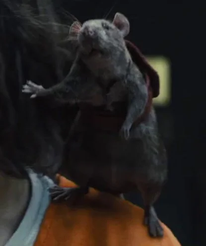 PacoQueruak's tweet photo. @hobbihajotorott Tekintve, hogy mind a két nagy szuperhős-filmuniverzumban kvázi patkányok mentették meg a világot (Endgame és a legutóbbi Öngyilkos osztag filmben), így én az utóbbi nevet nagyon büszkén viselném.🐭 #JusticeForRats https://t.co/wr1pQiuY0d