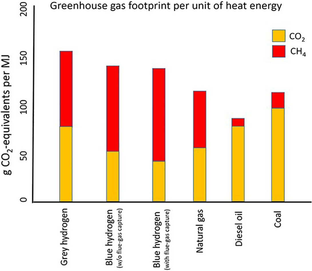 There's no role for blue hydrogen in a carbon-free future. A new study by @Cornell and @Stanford warns that blue hydrogen is 20% more climate damaging than natural gas. ⚠️ The only 'clean' hydrogen we should be investing in is green hydrogen made from wind and solar energy.