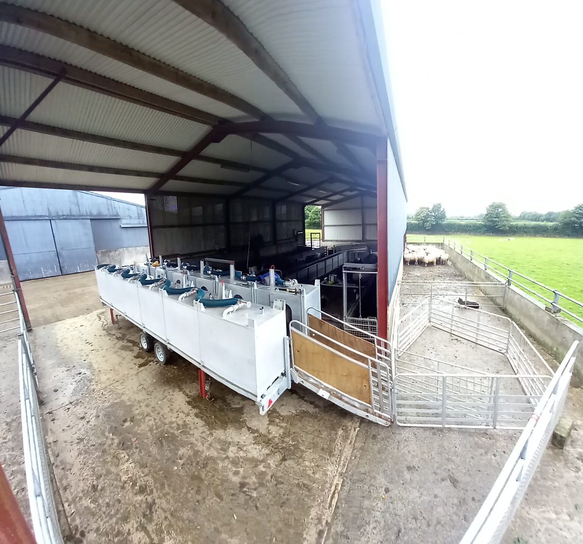 @GrassToGas (@grasstogas) on Twitter photo The <a href="/TeagascSheep/">TeagascSheep</a> team’s Portable Accumulation Chambers have made their debut this week on Irish commercial farms, measuring the methane output of 300 ewes on a <a href="/SheepIreland/">Sheep Ireland 🌟🌟🌟🌟🌟</a> Central Progeny Test farm for <a href="/GrasstoGas/">@GrassToGas</a> The <a href="/TeagascSheep/">TeagascSheep</a> team’s Portable Accumulation Chambers have made their debut this week on Irish commercial farms, measuring the methane output of 300 ewes on a <a href="/SheepIreland/">Sheep Ireland 🌟🌟🌟🌟🌟</a> Central Progeny Test farm for <a href="/GrasstoGas/">@GrassToGas</a>