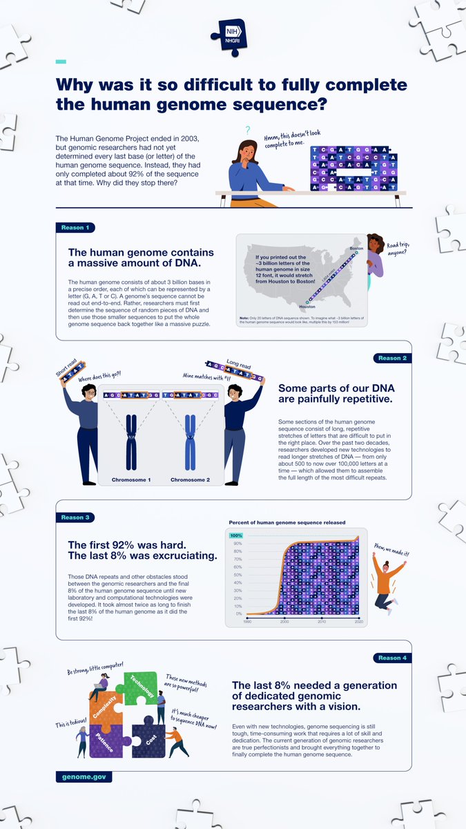 NHGRI_Director's tweet image. .@Genome_gov recently created a helpful infographic that explains the challenges of sequencing highly repetitive DNA and the technological advances needed to generate a gapless human genome sequence. I encourage you to check it out! bit.ly/3lyp5Ue