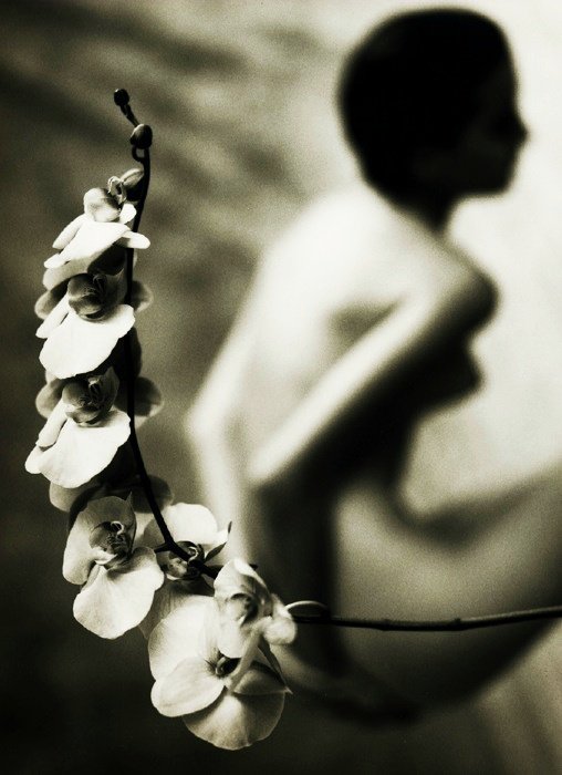 1612Lir's tweet photo. © Mark Arbeit https://t.co/nv6Wueco7l
