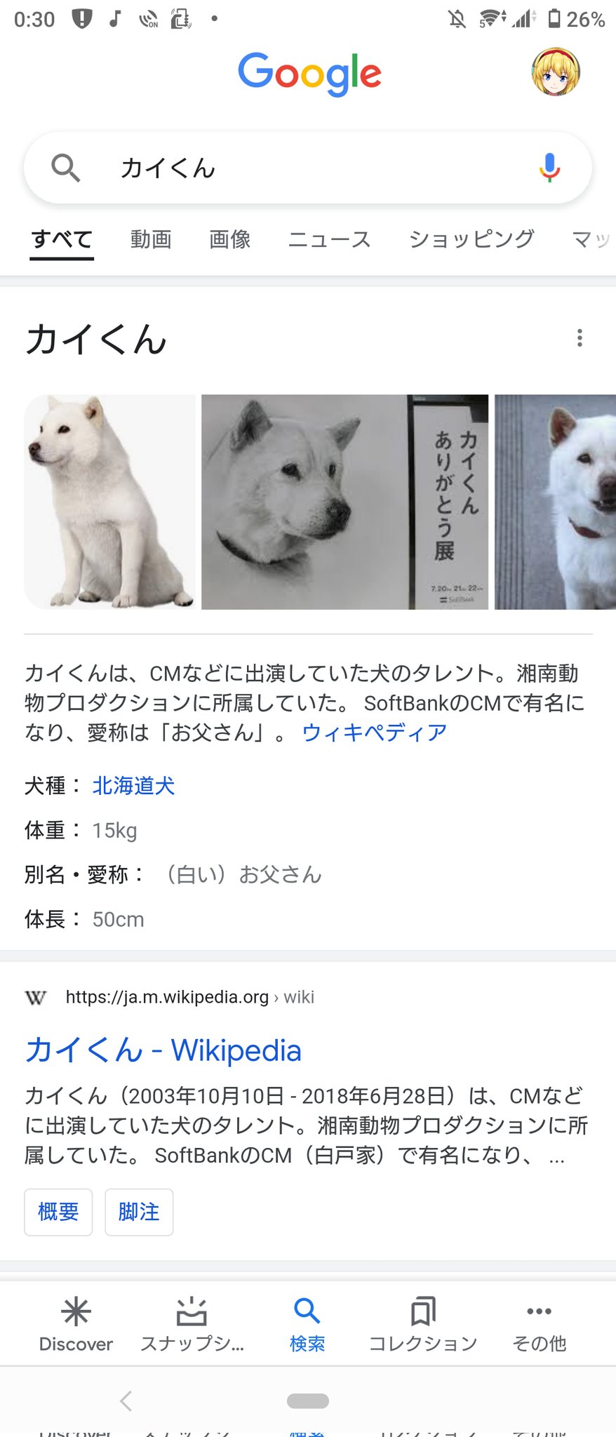 Alice M Gueregere6557 ソフトバンクの白い犬です T Co Grlfpbqdxs Twitter