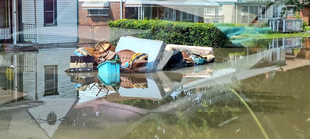 Rod Meloni tweet media