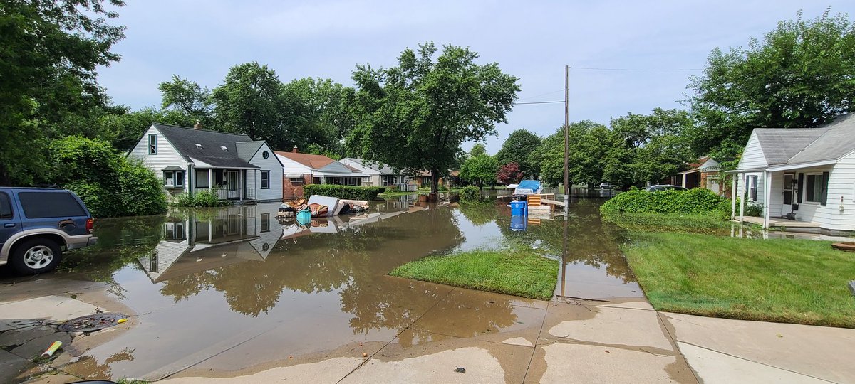 Rod Meloni tweet media