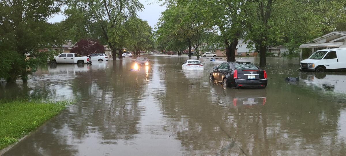 Rod Meloni tweet media