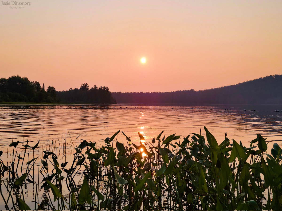 The beautiful days that end like this! 

📍Moore lake at Samuel de Champlain Provincial Park, Ontario.

#sunset #beautiful #OntarioParks #fortheloveofparks #OPBestSunset