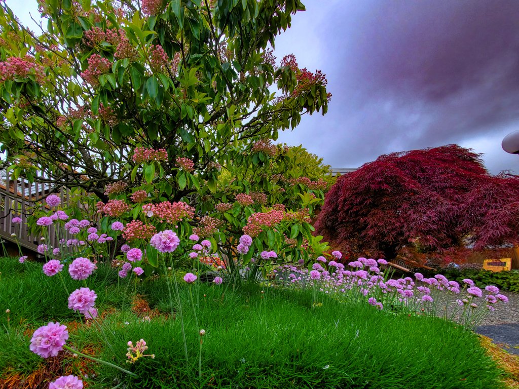 The Peoples Gardening Collective tweet media