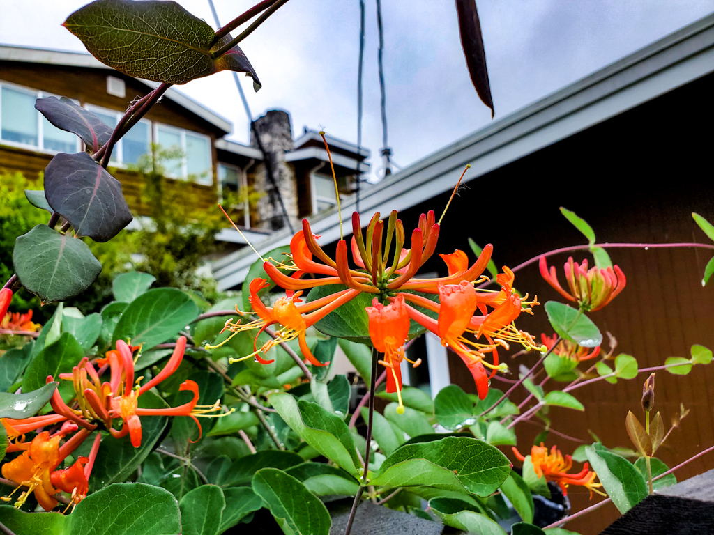 The Peoples Gardening Collective tweet media