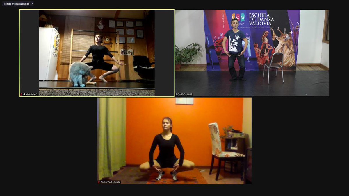 Nuestros cursos y talleres remotos continúan avanzando.
La segunda clase de ayer fue la del Nivel Avanzado en la que se ejecutaron ejercicios técnicos, junto al profesor Ricardo Uribe.

Sigue todas nuestras actividades en <a href="/ccmvaldivia/">CCM-Valdivia</a> 

#Valdiviacl