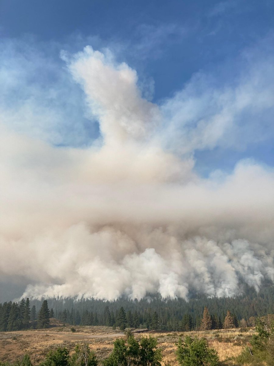 Forest Service NW tweet media