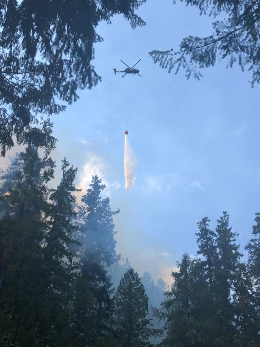 Forest Service NW tweet media