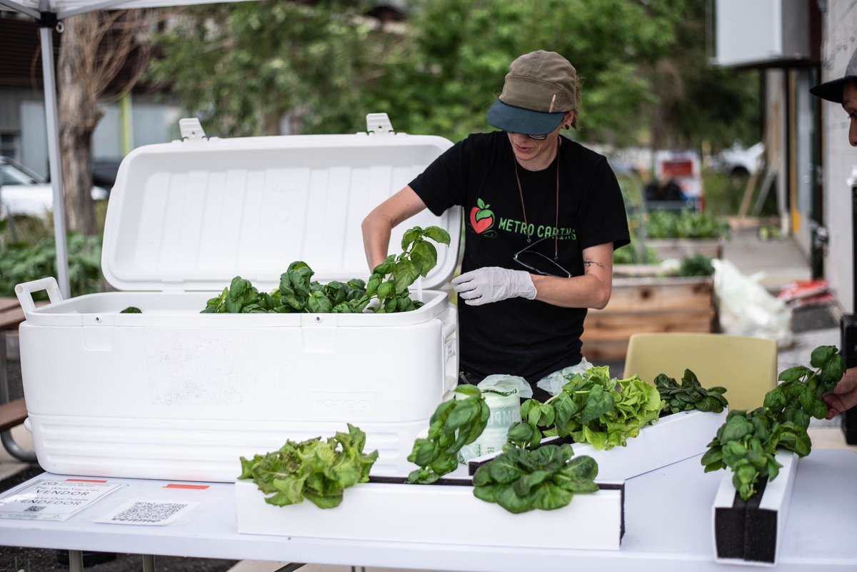 MetroCaring's tweet photo. The Globeville Community Farmers Market is scheduled every Thursday from 4:30 to 7:30 p.m. until October 2021 at 3455 Ringsby Court.
#globeville #farmersmarket #wearemetrocaring
https://t.co/Bukan3RNf9 https://t.co/KYLXfihv1F