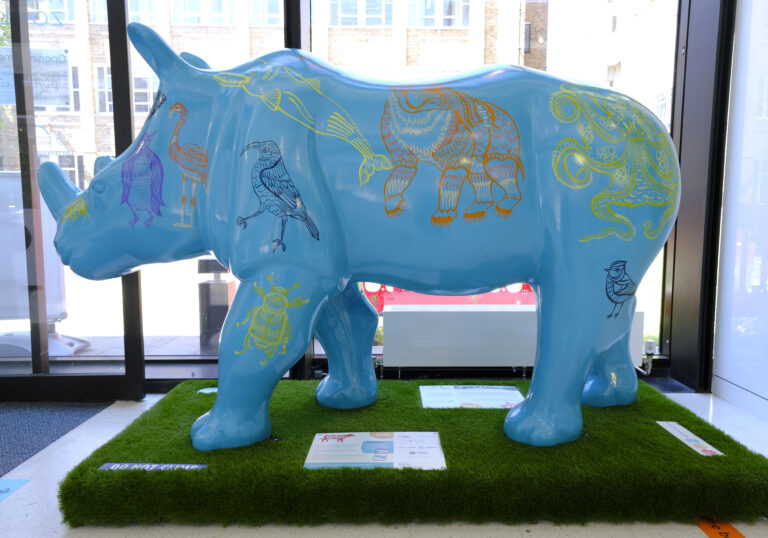 We have a sculpture on the #CowsAboutCambridge trail. <a href="/LauraKateDraws/">Laura-Kate Draws</a> painted it with animals you can find in the museum, and as it's #WorldElephantDay we're sharing the gorgeous elephant. 
But why is our "cow" actually rhino? Read all about it...
cowsaboutcambridge.co.uk/a-rhino-at-the…