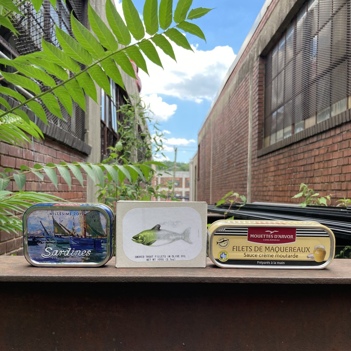 Number1Sons's tweet image. Tinned fish is having a bit of a moment. It’s cool! What are you favorite things to do with it? What would you like to pair it with? Let us know — as tinned fish aficionados, we wanna put together some packages for you for home delivery ☺️