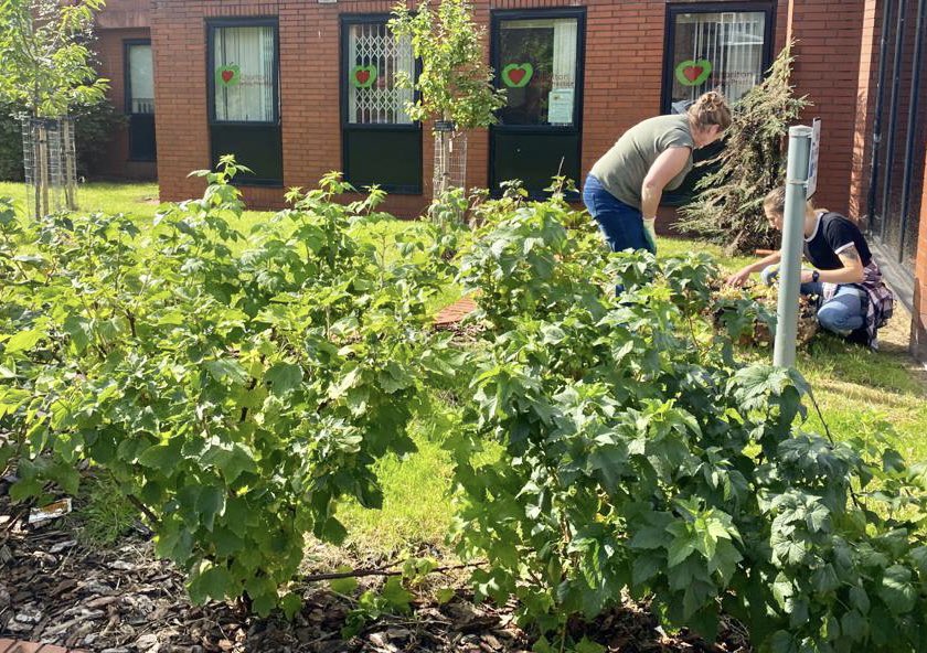 ChorltonFPGP's tweet photo. Thank you @SowtheCity for your help 👏🏼👏🏼👏🏼 https://t.co/20CAMTQgI2