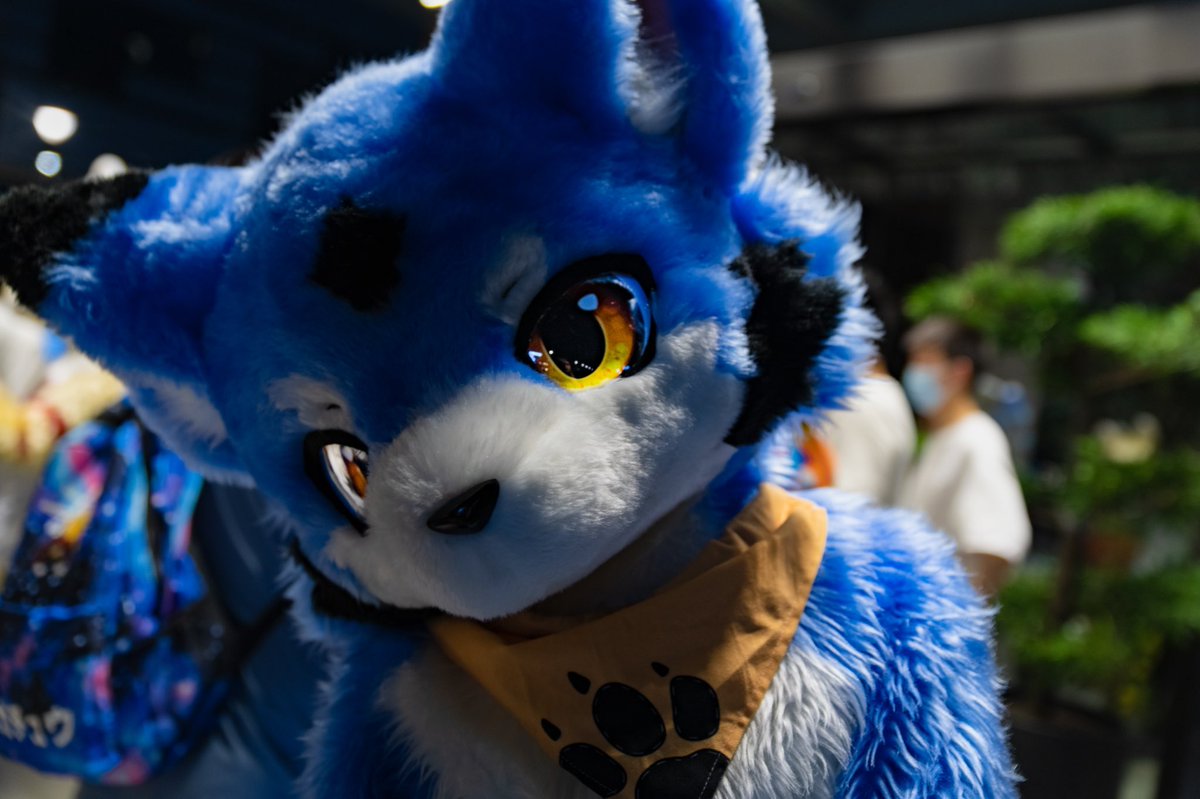 #FursuitFriday（凑近