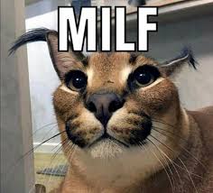 This joke is like an onion...