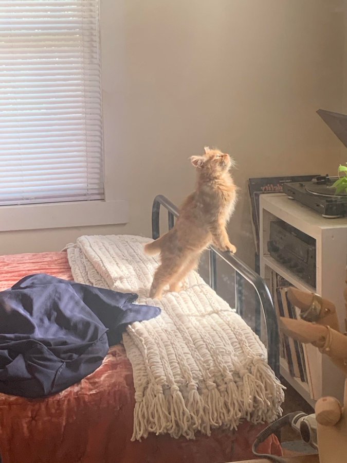 StevenWaite100's tweet photo. @2021_Karma looking for the windows cache https://t.co/LAx0zSaZOV
