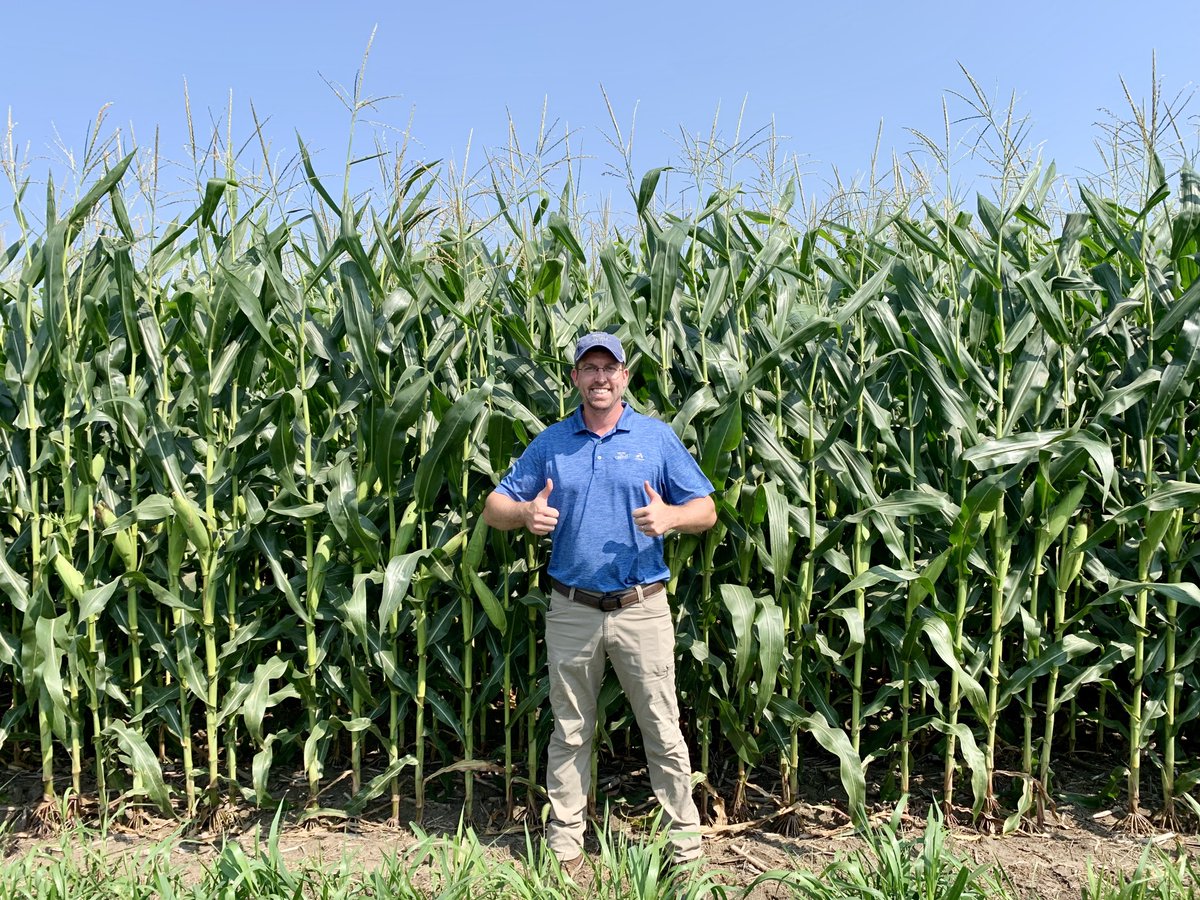 MillennialAgron's tweet image. #ShortCorn, aka "Smart Corn System", has many benefits!
- reduced root lodging and greensnap 
- in-season fungicide and fertilizer application flexibility with a standard ground rig (no airplanes)
- higher plant pops for higher yields! (55K ppa behind me)
- greater root mass!