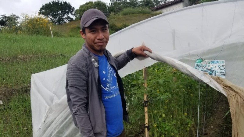 El tema del Día Internacional de la Juventud 2021 es “Transformar los sistemas alimentarios: Innovación juvenil para la salud humana y planetaria”,  Jóvenes en Guatemala apoyados por el Proyecto CONFIO están cultivando tomates y pepinos para obtener ingresos, #IYD2021  #YouthLead