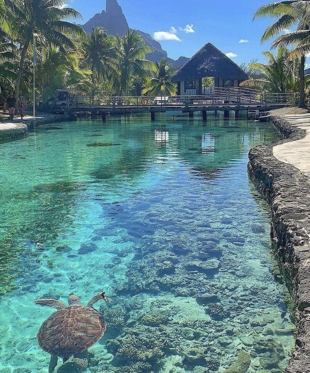 tmbIrpics's tweet image. Need