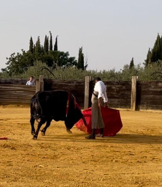 👣👣👣 Mirada alta y paso firme. Descontando los días, sumando los momentos. Destino La Malagueta. Hoy dos toros #momentoJCBenitez🤟😜🐂🍀