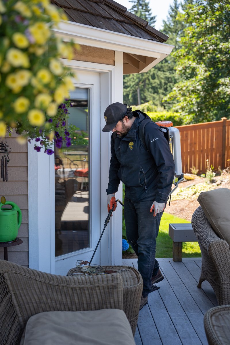 Guardian_WA's tweet photo. With Guardian Pest Control, we make it a priority that you see results fast. In just under 5 minutes of placing bait down, these Sugar Ants were lured straight to it, initiating the start of a beautiful, pest-free home! #PestFree #GuardianPestControl https://t.co/j8jOVsHu2R