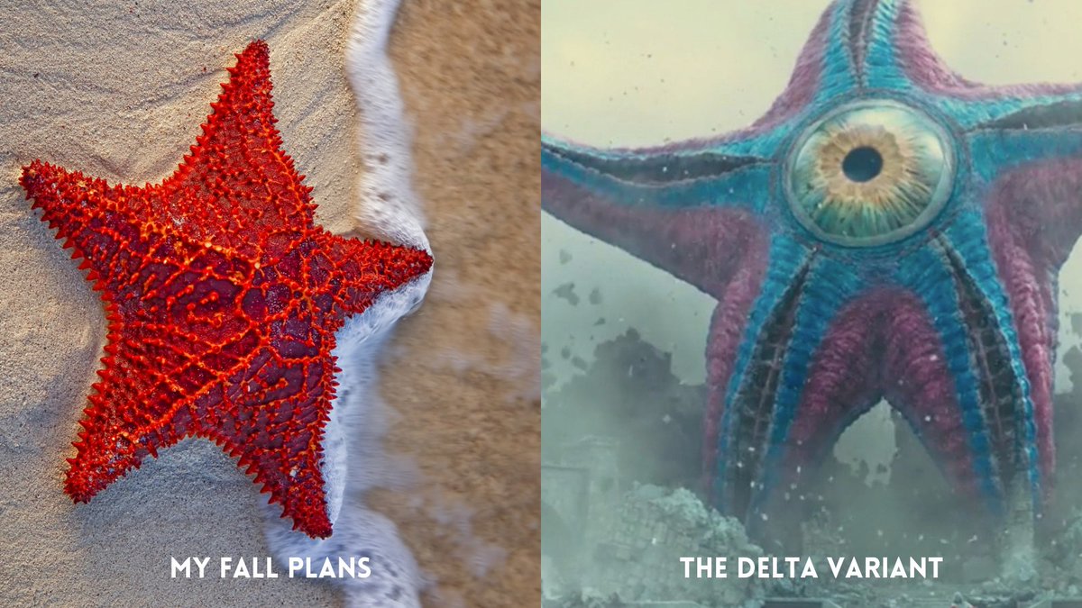 tvwriter's tweet image. My #FallPlans. The #DeltaVariant.