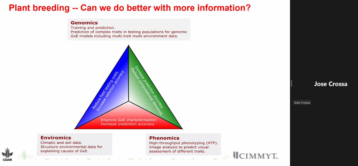 Combining genomics, enviromics &amp; phenomics in plant breeding. Jose Crossa <a href="/CIMMYT/">CIMMYT</a> presented the "modern plant breeding triangle" at today's @CGIAR_EiB breeding scheme optimization meeting. Read the paper here: frontiersin.org/articles/10.33… #AGGproject