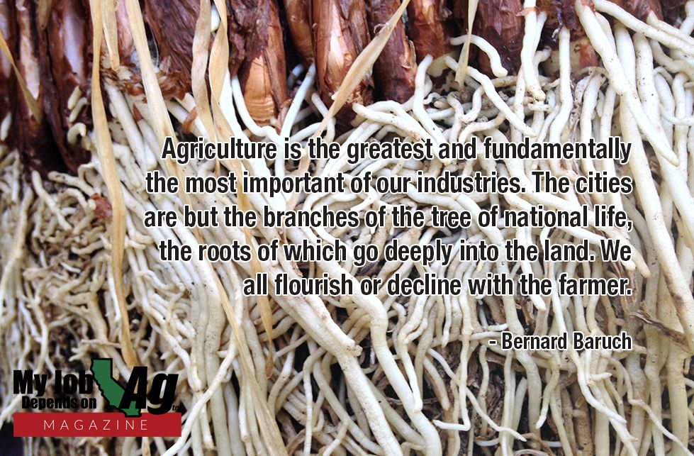 #farm365 #agriculture #farm #farming #farmer #farmlife #myjobdependsonag