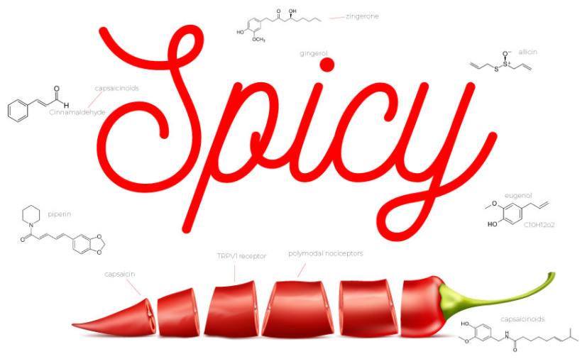 BurmaSpice's tweet photo. 🌶️🔥Do you LOVE spicy food? 🔥🌶️

If you answered yes, this article is for you!  At Burma Spice, we can't get enough, and wanted to delve into the science behind our passion for heat.  Take a hot minute to check it out, it's an interesting read!

https://t.co/ekPKkHxIng https://t.co/EGbFcRc3qf