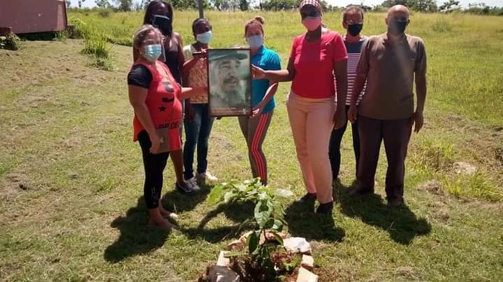 En Aniversario 95 del Natalicio de Nuestro Comandante Fidel se siembra un árbol #FidelPorSiempre #FidelVive  #YoSoyFidel #SomosContinuidad # UjcSantaCruzNorte #Mayabeque