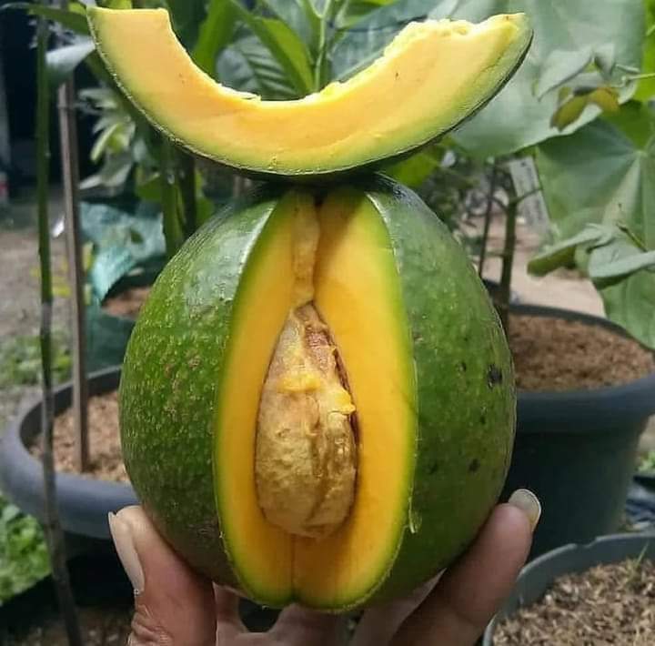 Simplemente delicioso 🥑

#NicaraguaLinda