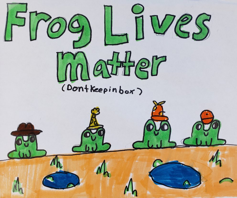 NewRiverWildcat's tweet photo. The rain this am brought out hundreds of desert toads hopping all over campus. 6th graders, following our mantra of "Todays Citizens", supported the toads. #extradordinary #dvusd #froglivesmatter https://t.co/wIGpq637Ns
