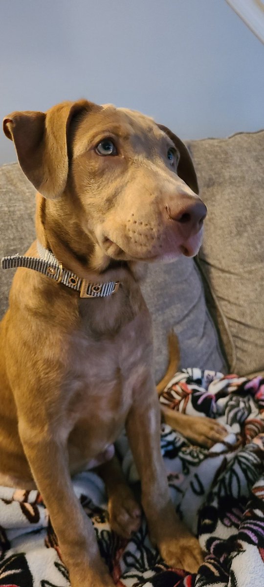 Dr. Maria Wakefield tweet media