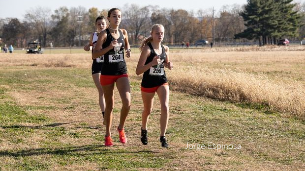 MSHeartland_'s tweet photo. This is the final saga for Class A Girls preseason previews. Congrats and best wishes this season to all!  Here you go ---> https://t.co/b9Csb966oM #IHSAXC21 https://t.co/ro9nbz9PLK