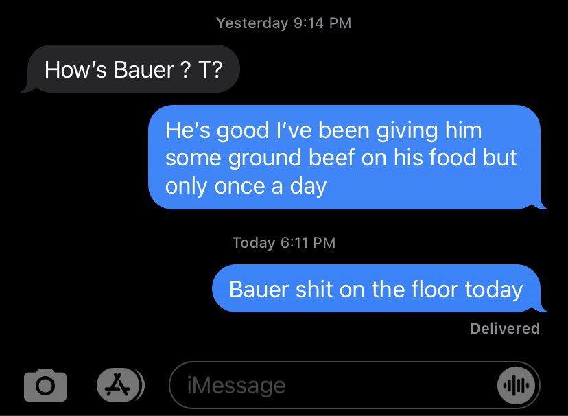 hollydormer's tweet photo. “Get a Great Dane” they said,            “It’ll be fun” they said…                      #textswithdad #dog #dogsitting https://t.co/HprSwIsLok
