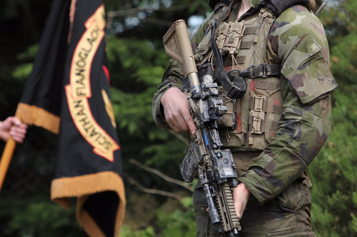 Army Ranger Wing