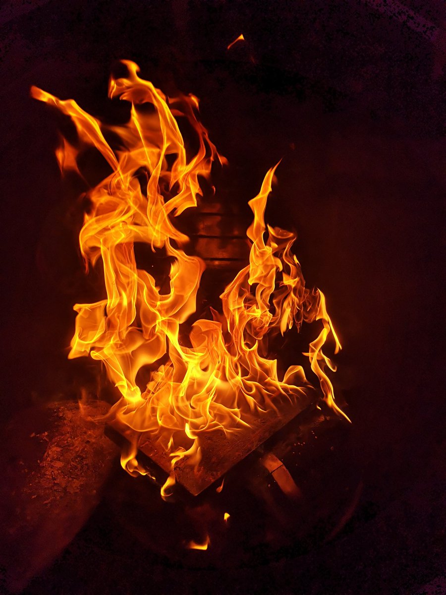 M@rtin Goedbloed tweet media