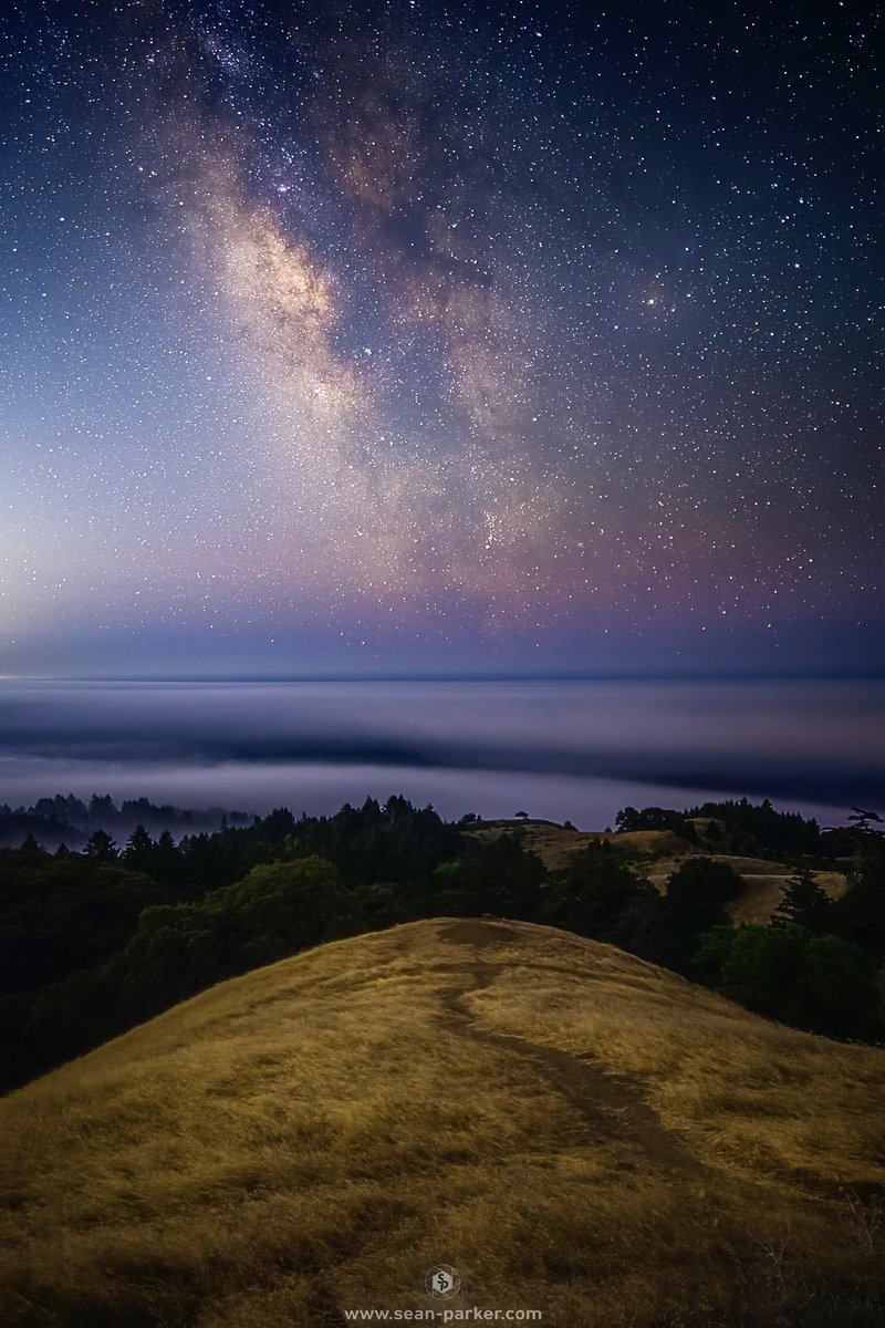 Above the clouds and under the stars on Mt Tam in Northern California! #milkyway #photography #astrophotography #mttam