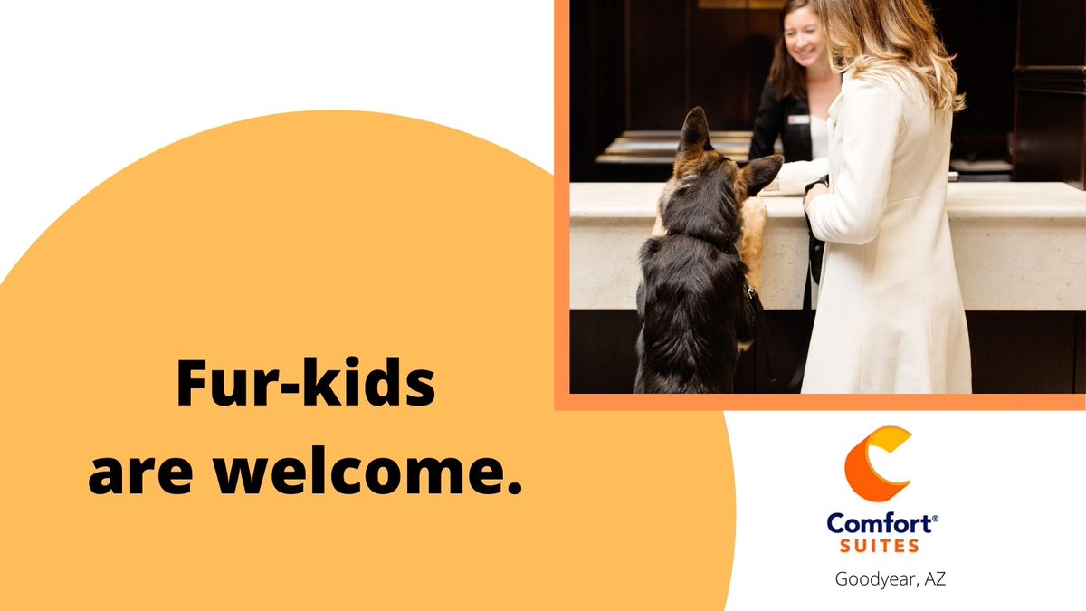 Did you know we're pet-friendly? Traveling for business or leisure? For a small fee you can bring your furry friends along. #goodyearaz